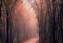 AC Milan Sports-Faker官方宣布重返赛场新规，巴塞罗那引发争议！